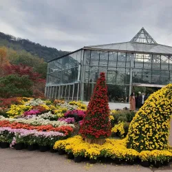 Gyeongsan Arboretum - Dae-dong Gyeongsan-si