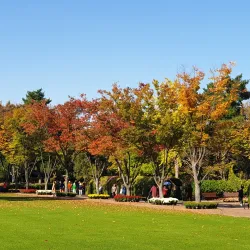 Gyeongsan Arboretum - Dae-dong Gyeongsan-si