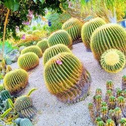 Gyeongsan Arboretum - Dae-dong Gyeongsan-si