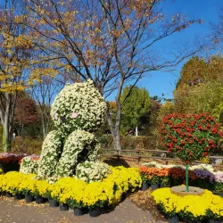 Gyeongsan Arboretum - Dae-dong Gyeongsan-si