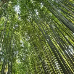 Gyeongsan Arboretum - Dae-dong Gyeongsan-si