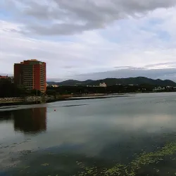Gyeongsan City Hall Plaza - Dae-dong Gyeongsan-si