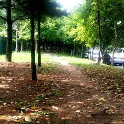 Gyeongsan Public Library - Dae-dong Gyeongsan-si