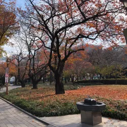 Hwajeong Park - Dae-dong Gyeongsan-si