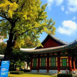 Hwajeong Park - Dae-dong Gyeongsan-si