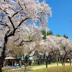 Seonggok Park - Dae-dong Gyeongsan-si