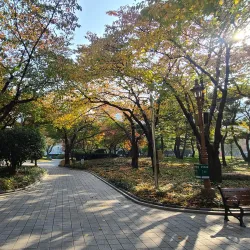 Seonggok Park - Dae-dong Gyeongsan-si