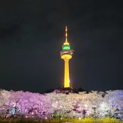 83 Tower (Eighty-Three Tower) - Daegu