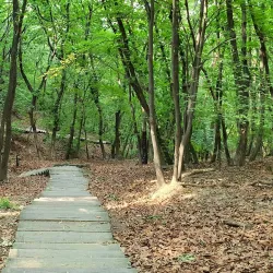 Apsan Park - Daegu