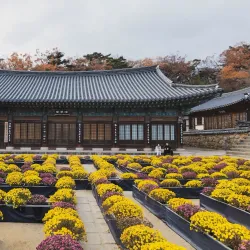 Donghwasa Temple - Daegu