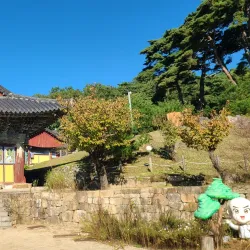 Donghwasa Temple - Daegu