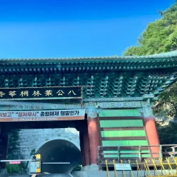 Donghwasa Temple - Daegu