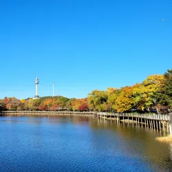 Duryu Park - Daegu