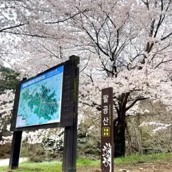Palgongsan Provincial Park - Daegu