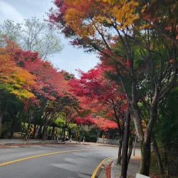 Palgongsan Provincial Park - Daegu