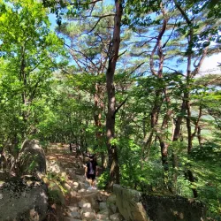 Palgongsan Provincial Park - Daegu