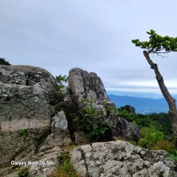 Palgongsan Provincial Park - Daegu