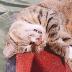 Seomun Market - Daegu