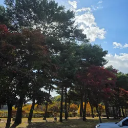 Daejeon National Cemetery - Daejeon