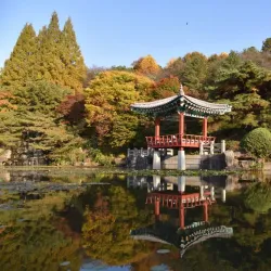 Daejeon National Cemetery - Daejeon