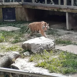 Daejeon O-World - Daejeon