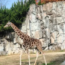 Daejeon O-World - Daejeon