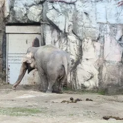 Daejeon O-World - Daejeon