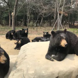 Daejeon O-World - Daejeon