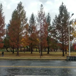 Daejeon Skyroad - Daejeon