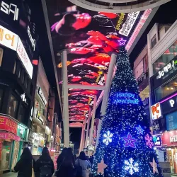 Daejeon Skyroad - Daejeon