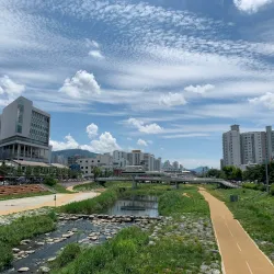 Daejeon Skyroad - Daejeon