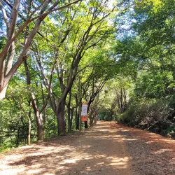 Gyejoksan Mountain Red Clay Trail - Daejeon