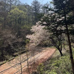 Gyejoksan Mountain Red Clay Trail - Daejeon
