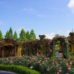 Hanbat Arboretum - Daejeon