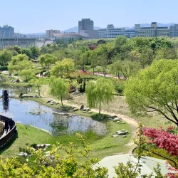 Hanbat Arboretum - Daejeon
