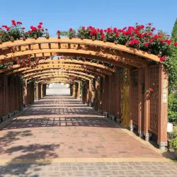 Hanbat Arboretum - Daejeon