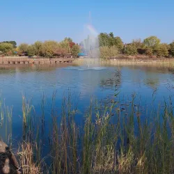 Hanbat Arboretum - Daejeon