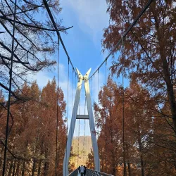 Jangtaesan Recreational Forest - Daejeon