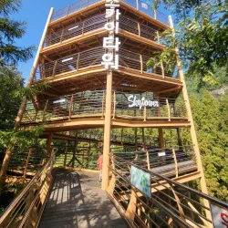 Jangtaesan Recreational Forest - Daejeon