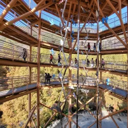 Jangtaesan Recreational Forest - Daejeon