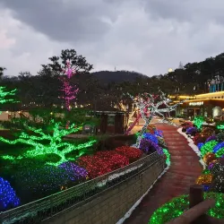 Ppuri Park - Daejeon