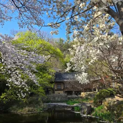 Uam Historical Park - Daejeon