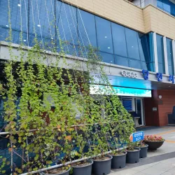 Dangjin Industrial Complex - Dangjin-si