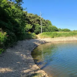 Dangjin Wetlands - Dangjin-si