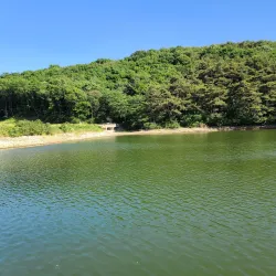 Dangjin Wetlands - Dangjin-si