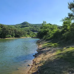 Dangjin Wetlands - Dangjin-si