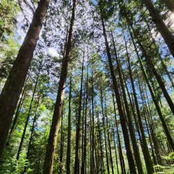 Seonghwangsa Temple - Dangjin-si