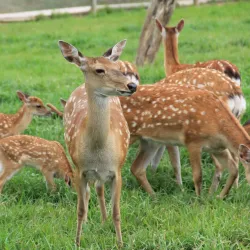 Dongducheon Peace Park - Dongducheon