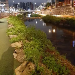 Seongbukcheon Stream - Dongducheon