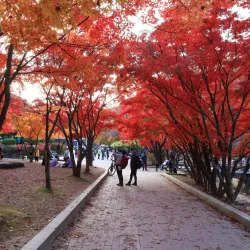 Soyosan Mountain - Dongducheon